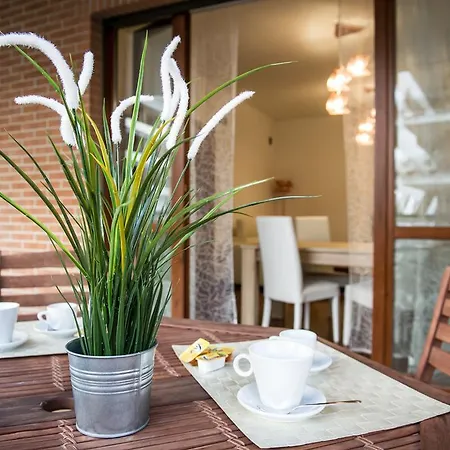 Guest house Domus Bb - Plaza 3*
